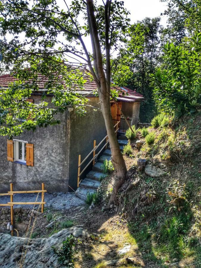 Berzuaia Bed & Breakfast Varazze Luaran gambar