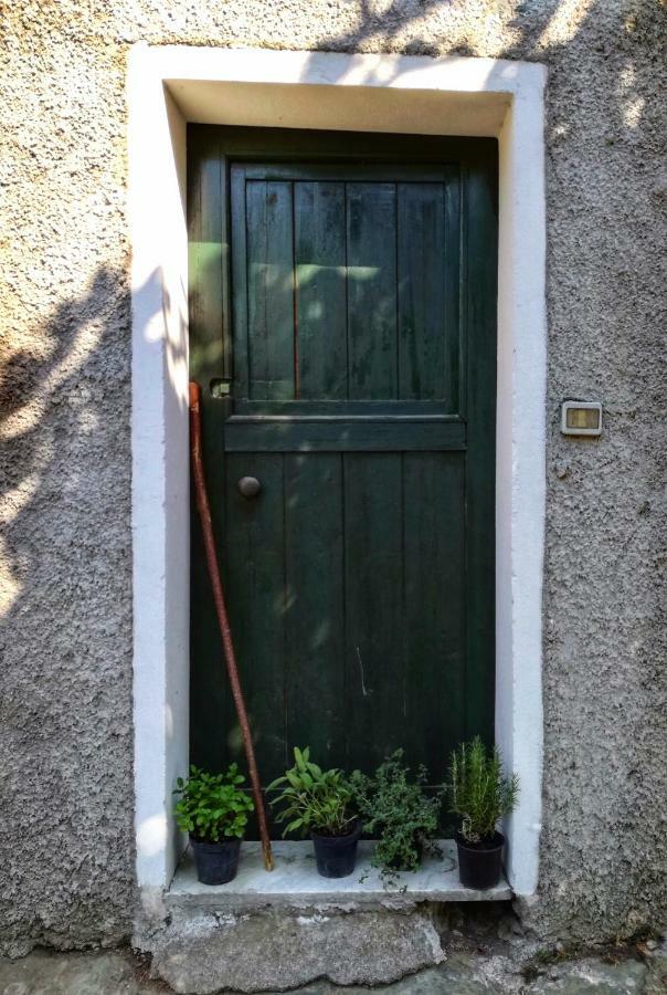 Berzuaia Bed & Breakfast Varazze Luaran gambar