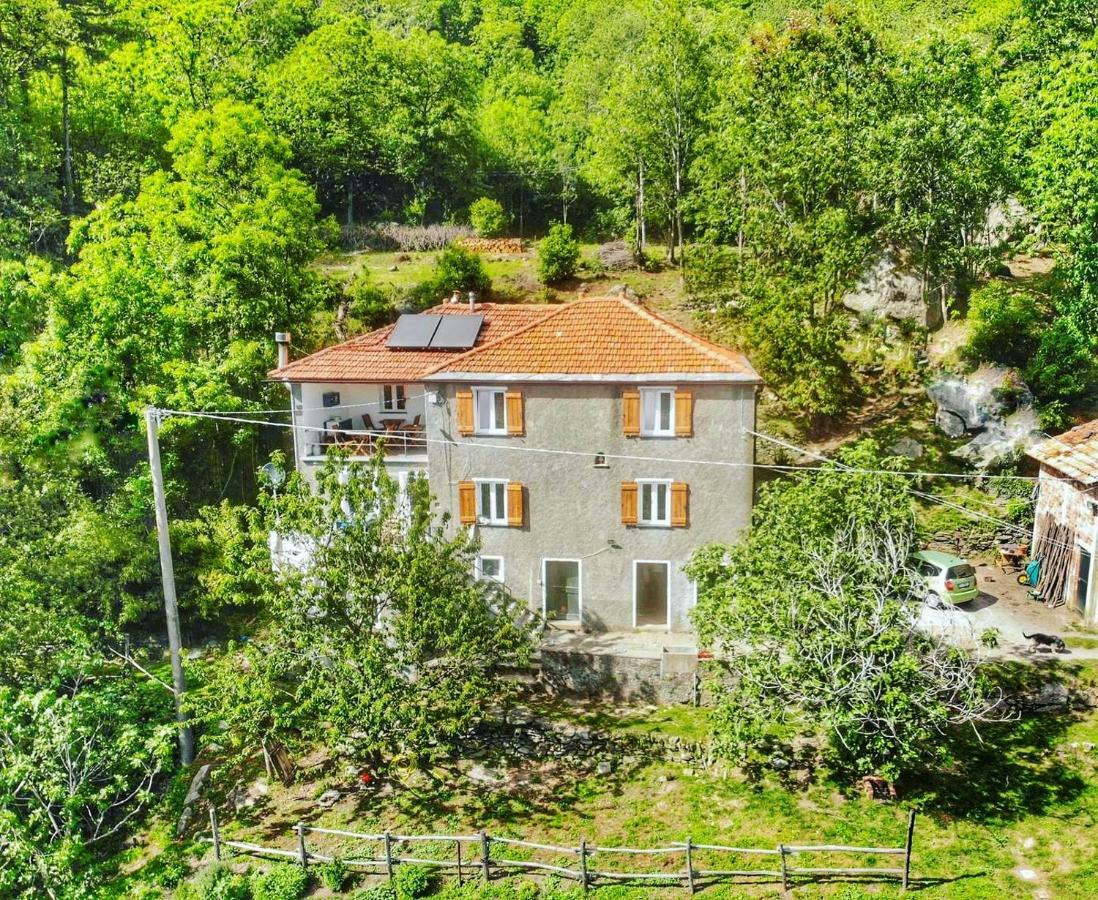 Berzuaia Bed & Breakfast Varazze Luaran gambar